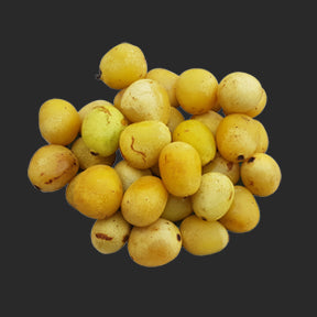 INA ;abs INGREDIENT MARULA