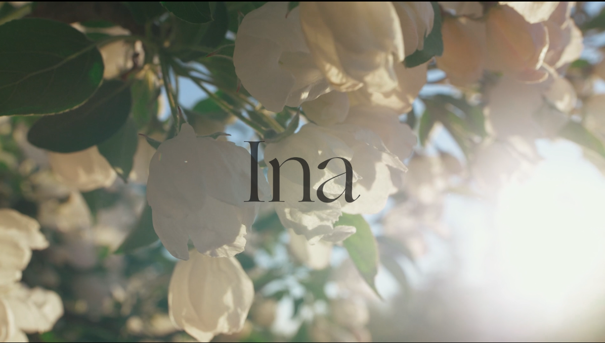 Ina labs brand video